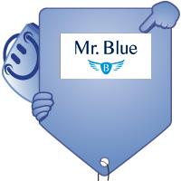 Código de Cupom Mr. Blue 